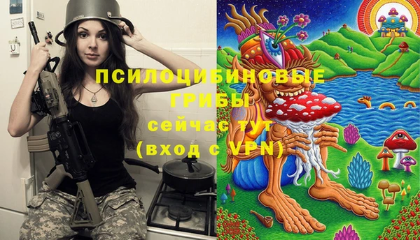 молекула духа Алзамай
